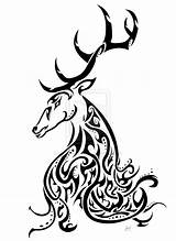 Tribal Stag Kashmir Owl Tattoo Awareness Celtic Tattoos Deviantart Animal Skull Deer Friend Visit Choose Board sketch template