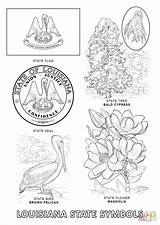 Louisiana Symbols Coloring Pages State Clipart Tree Printable Color Bird Flower Flag Coloringhome Popular Choose Board Getcolorings Clipground sketch template