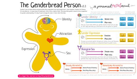 the genderbread person 3 0 public health post