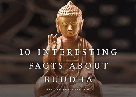 10 Interesting Facts About Buddha 1000 In 2020 Buddhist Teachings