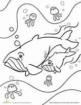 Baby Coloring Whale Whales Color Worksheet Humpback Pages Education Animals Mom Choose Board Printable Artículo sketch template