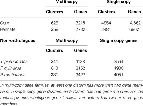 number  multi copy  single copy gene clusters  genes based
