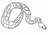 Mamba Coloring Pages Snake Getcolorings sketch template