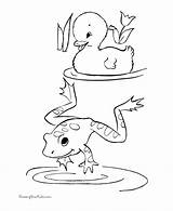 Frog Coloring Frogs Color Pages Library Clipart Kids Printable sketch template