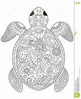 Coloring Mandala Turtle Schildkröte Sea Pages Un Adult Tableau Choisir Mit Vector Tortue Coloriage Adults раскраски выбрать доску Colouring Stock sketch template