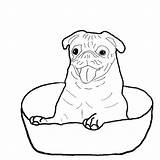 Pug Coloring Pages Printable Dog Bowl Happy Pugs Cute Baby Inside Color Template Getcolorings Print Puppies Drawing Dogs Outline Draw sketch template