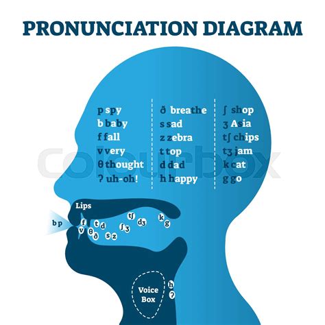 pronunciation diagram chart  letters   sounds vector illustration stock