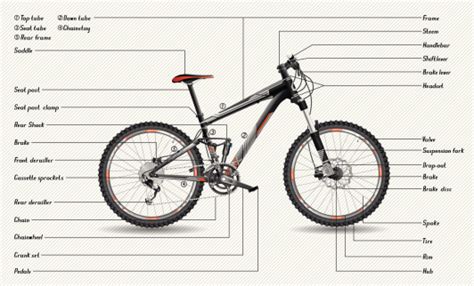 fullsuspension mountain bike  labeled parts stock illustration  image  istock