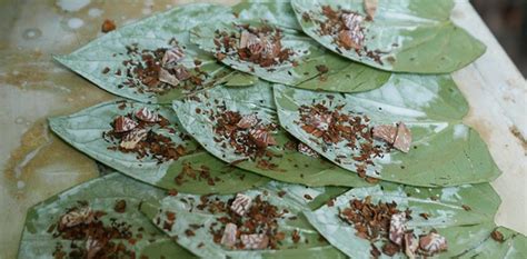 viral post  chewing paan prevents covid  infection   true