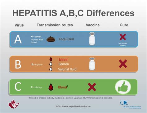 hepatitis education canada programme canadien d éducation sur l hépatite