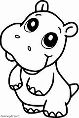 Hippo Coloringall Colouring sketch template