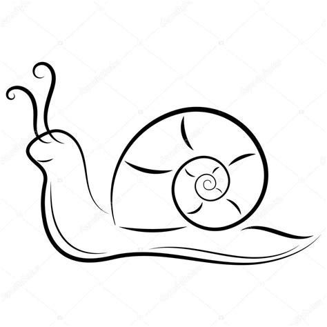sea snail drawing  paintingvalleycom explore collection  sea snail drawing