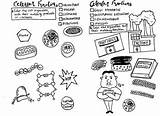 Cell Organelles Coloring Sheet Teacherspayteachers Parts Biology sketch template