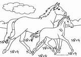 Horse Coloring Pages Baby Printable Kids sketch template