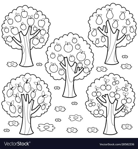 fruit trees black  white coloring page vector image