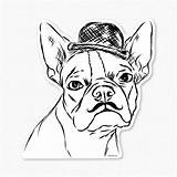 Terrier Boston Coloring Pages Printable Yorkie Bulldog Drawing French Puppy Dog Color Highland West Print Getcolorings Clipart Yorkshire Library Popular sketch template