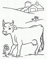 Calf Cows Pasture Calves Kolorowanki Vacas Zwierzęta Fazenda sketch template