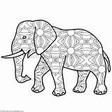 Elephant Coloring Asian Pages Getcolorings sketch template