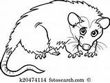Opossum Clipart Coloring Cartoon Animal Book Designlooter Fotosearch sketch template