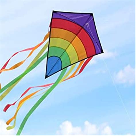 summer fun kite flying paxton house