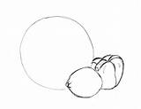 Overlapping Drawing Objects Stems Add sketch template