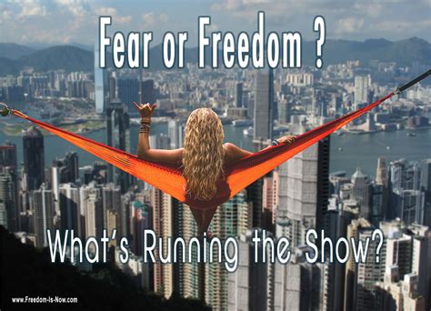freedom  fear freedom