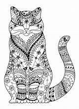 Coloring Cat Pages Adults Print Kids sketch template