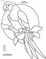 Stained Macaw Parrot Ara Vitray Ausmalbilder Oiseau Mykinglist Owl Blown Intarsia Patron Hummingbird Coloringhome Coloriage sketch template