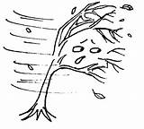 Windy Wind Clipart Weather Coloring Drawing Pages Kids Clip Tree Storm Lessons Trees Colouring Line Gif Cliparts Cloud Drawings Color sketch template