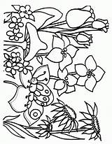 Coloring Pages Flower Spring Sheets Printable sketch template