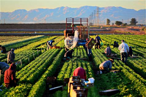 farm workers  vietnam manpower