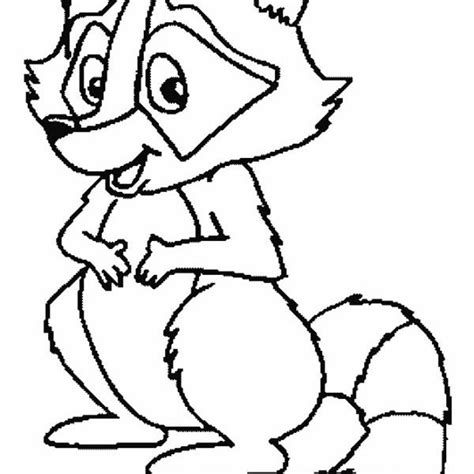 raccoon coloring pages  print
