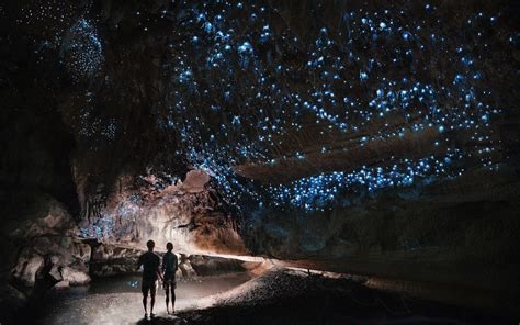 glow worm sky couple shining  light  waipu cave filled  glow worms jones