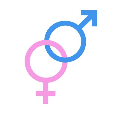 male  female symbols   svg