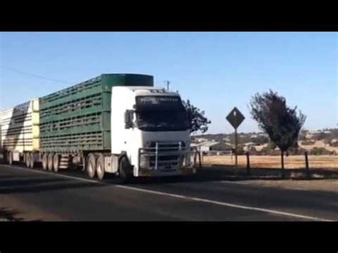 livestock trucks  australia youtube