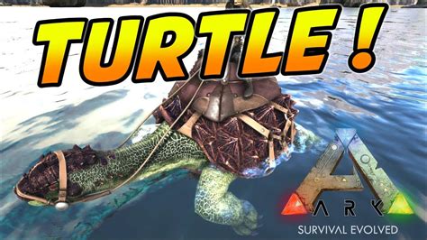 turtle power ark survival evolved ragnarok map episode  youtube