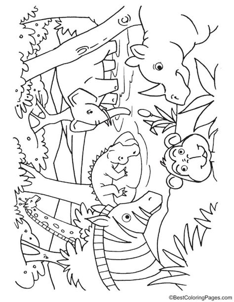 animals drinking water coloring page   animals drinking