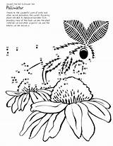 Coloring Moth Pollination Dots Connect Kids Flowers Printable Complete Worksheet Pages Pollinating Continue Needs Order Help Dot Worksheets Designlooter Pollinators sketch template