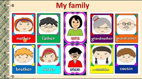 family family vocabulary youtube