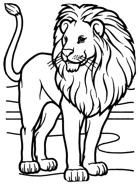 african lion face coloring sheet coloring pages