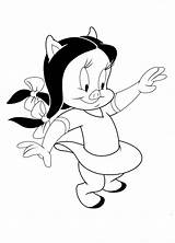 Gaguinho Porky Looney Tunes Petunia Namorada Tudodesenhos sketch template