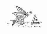 Fish Flying Pages Coloring Kids Undersea Index Print Colpages Folders sketch template