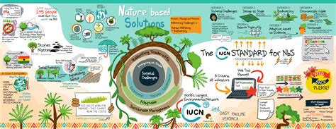 farmer organisations   global standard  nature based solutions  illustration iucn