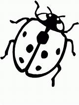 Coccinelle Ladybug Kolorowanki Biedronki Bubamara Colorir Bojanke Joaninhas Crtež Crtezi Printanje Proiect Ladybugs Bojanje Osam Mea Tematic Stampa sketch template