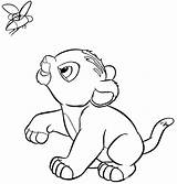 Lion Coloring King Pages Printable Simba Baby Procoloring sketch template