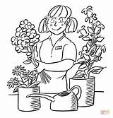 Florist Coloring Pages Drawing Flower Printable Color Garden People Professions sketch template