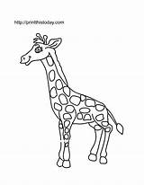 Giraffes Coloringhome sketch template