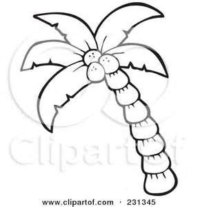 coconut template  printable leaf coloring page coloring pages