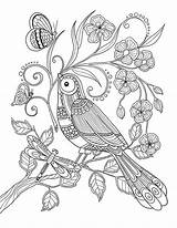 Coloring Pages Adult Birds Bird Printable Wings Colouring Mandala Adults Coloriage Zentangle Perroquet Sheets Book Para Color Books Donner Pour sketch template