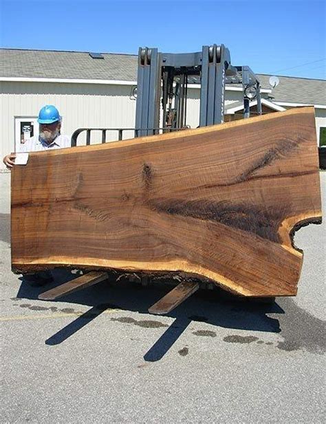 plateau bois brut pour table meuble de salon contemporain